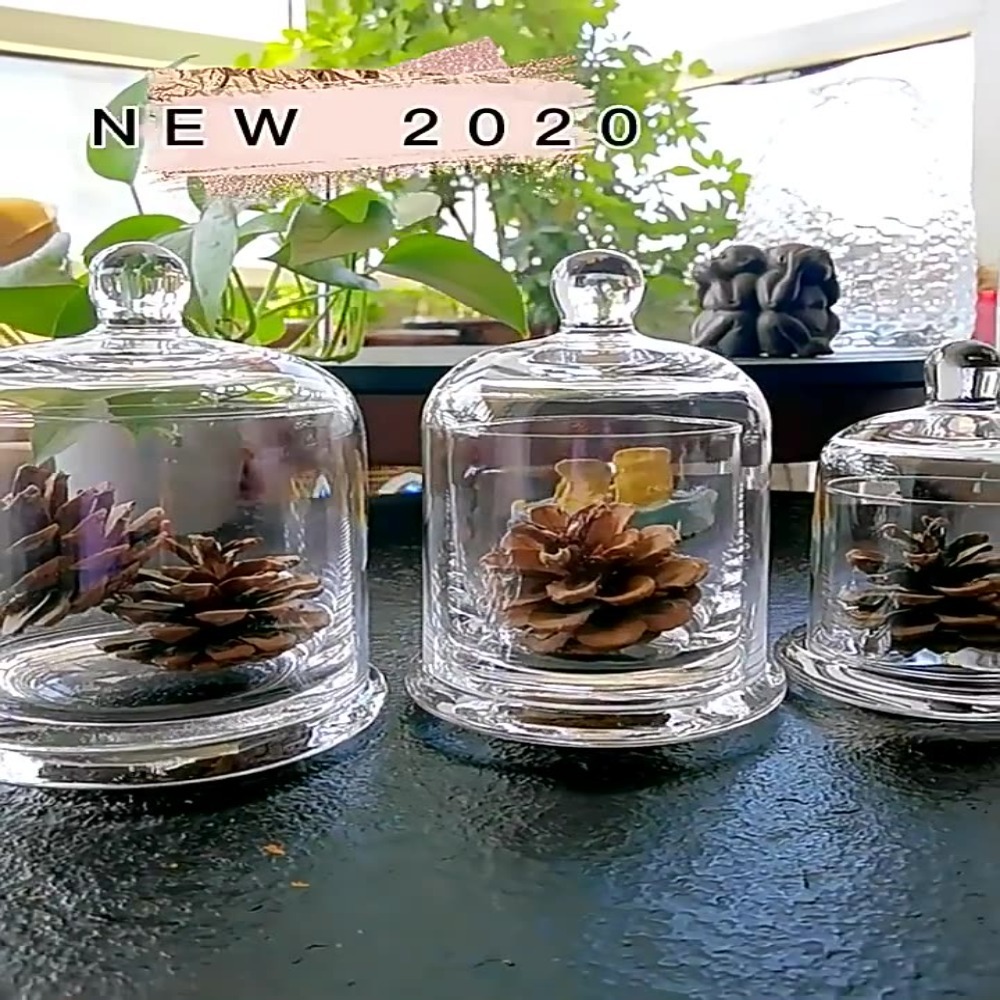 Food Storage Of Plants - وعاء زجاجي للتخزين، زهرة الحياة الأبدية،