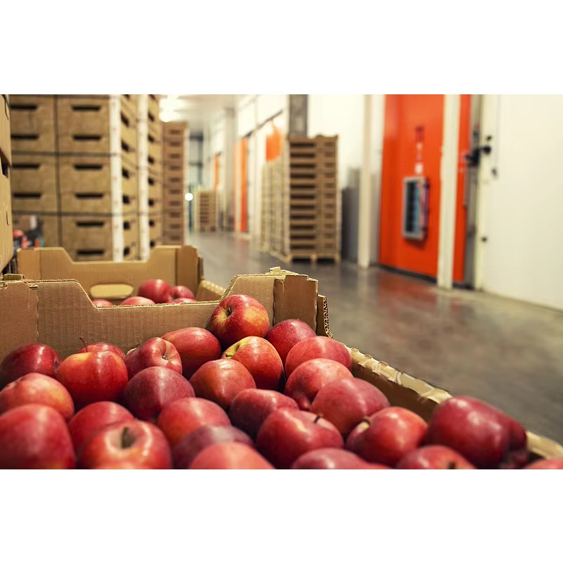 غرفة تبريد صناعية مخصصة للبيع  - مراجعة Food Storage Keep Hot وسعره