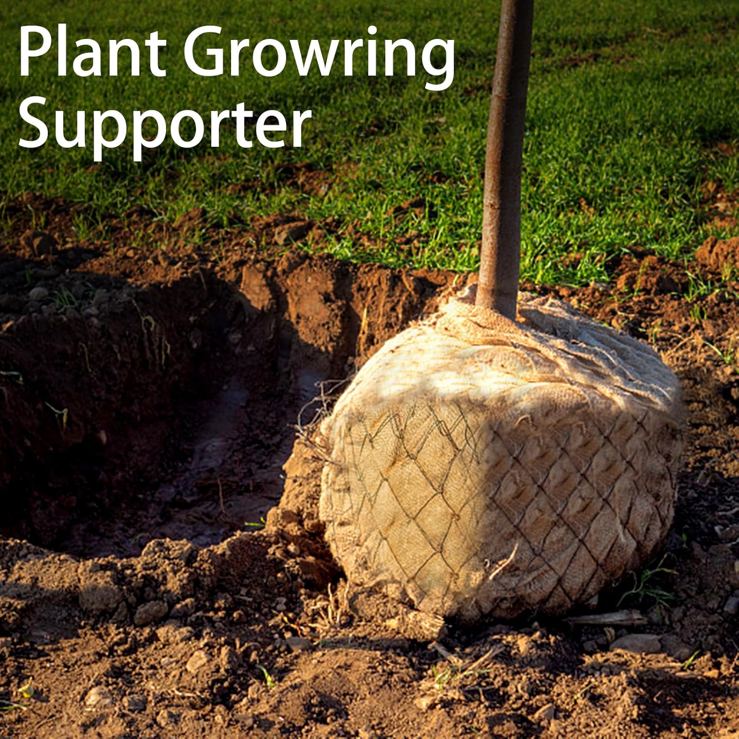 1 حزمة أكياس البطاطس أكياس الخ - مراجعة Food Storage In Roots وسعره
