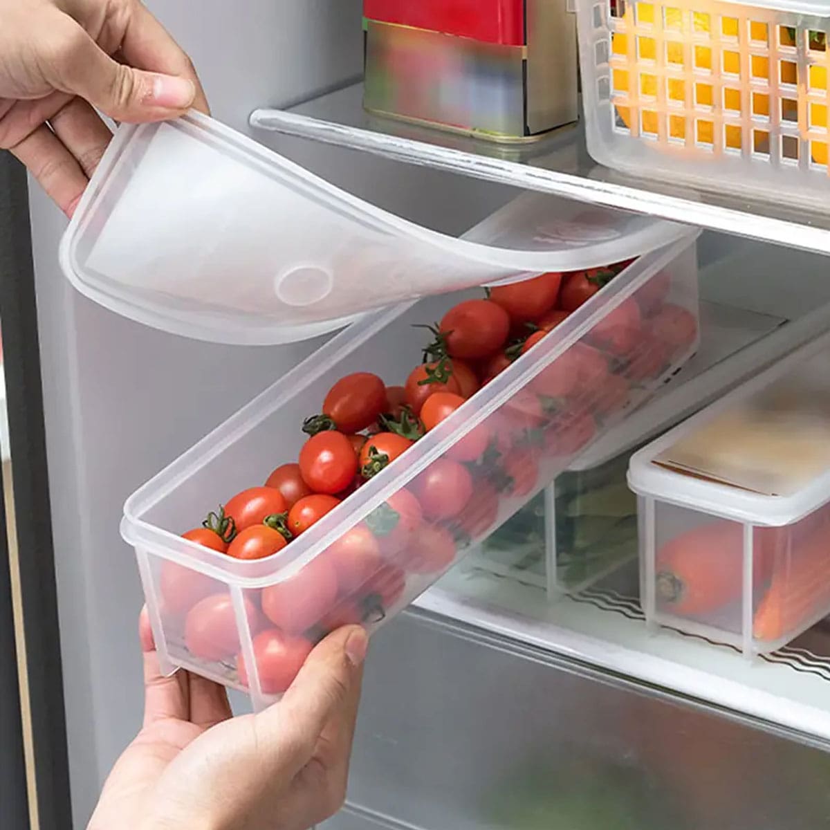 صندوق تخزين بلاستيكي شفاف، علب - مراجعة Food Storage Cupboard وسعره